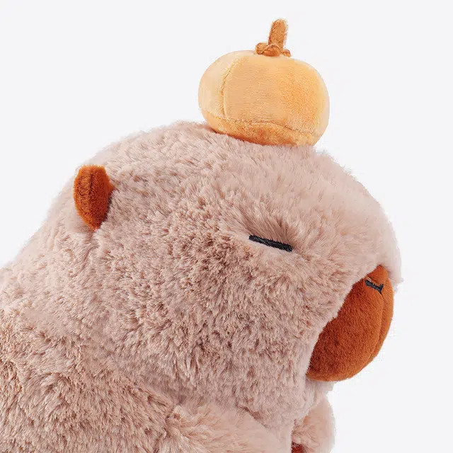 ZEIO 25cm