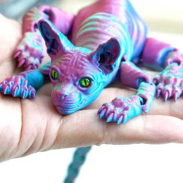 3D 24.5cm