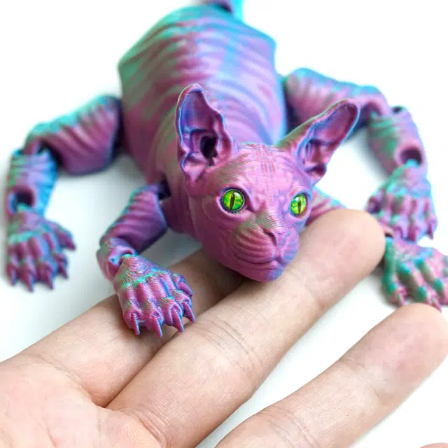 3D 24.5cm
