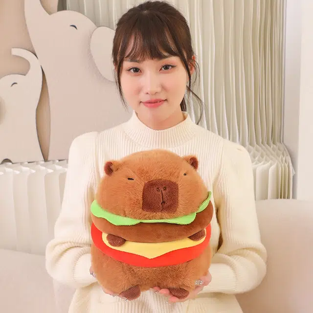 30cm20cm
