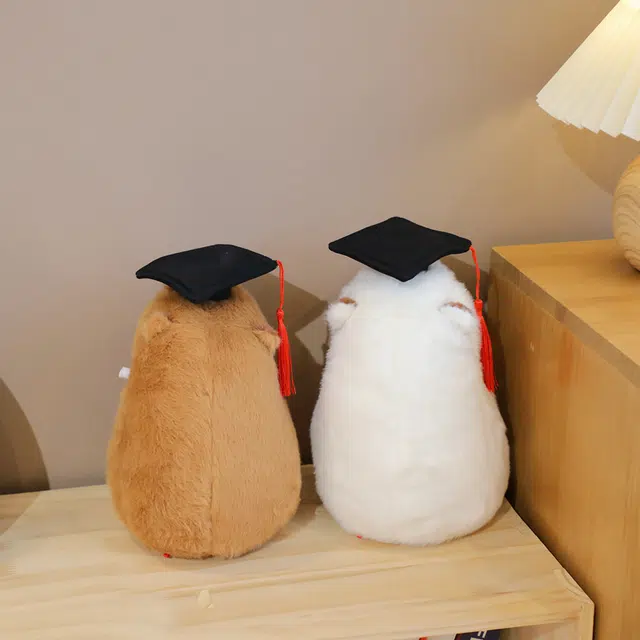 25cm