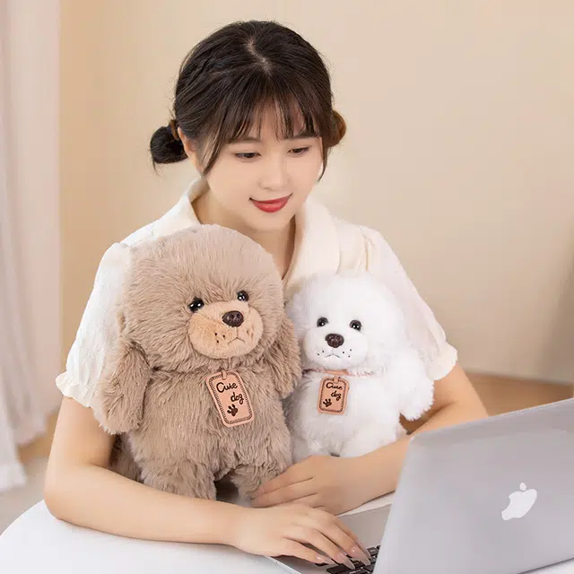 25cm35cm