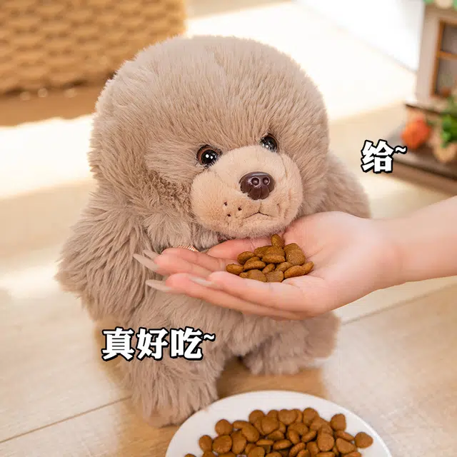 25cm35cm