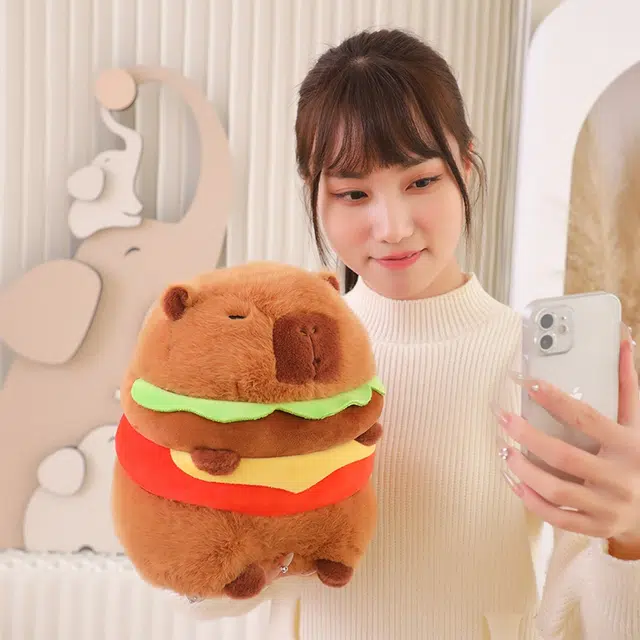 30cm20cm