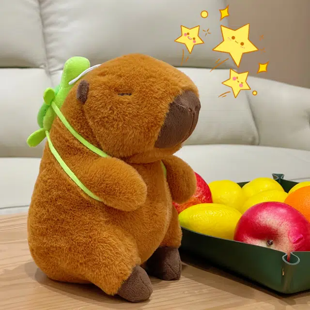 25cm