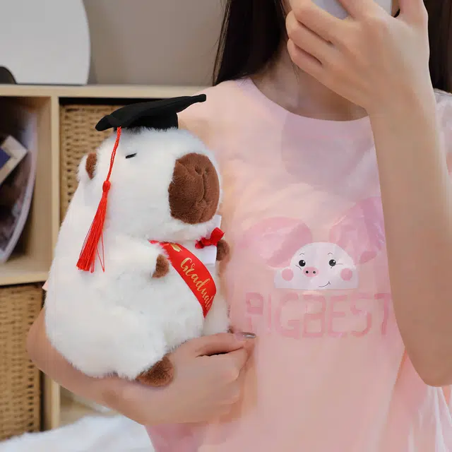 25cm