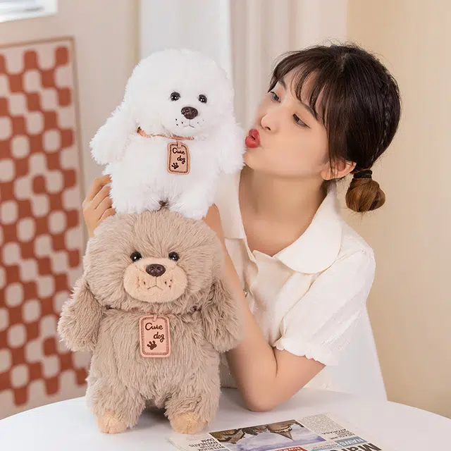 25cm35cm