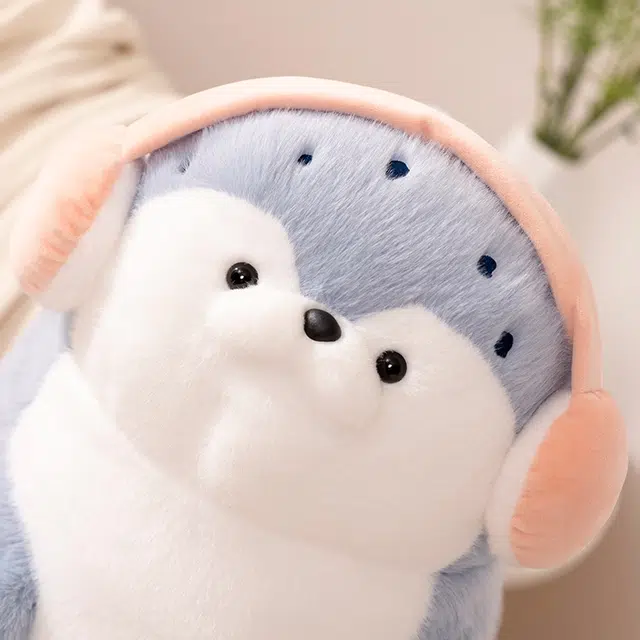 40cm70cm