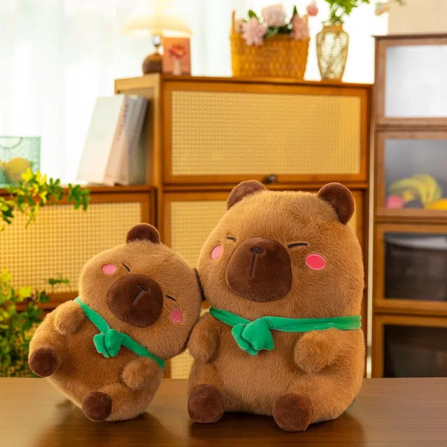 27cm38cm50cm