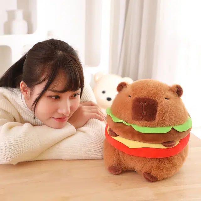 30cm20cm