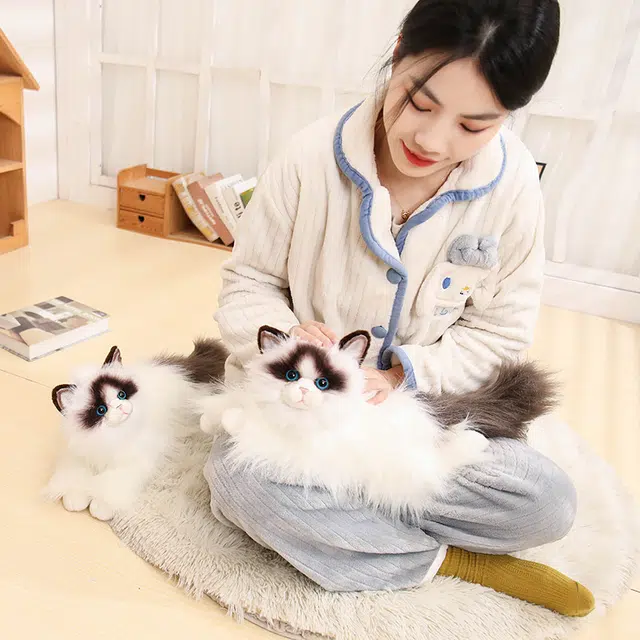 50cm