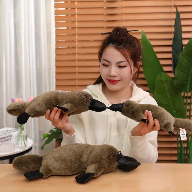 30cm35cm45cm