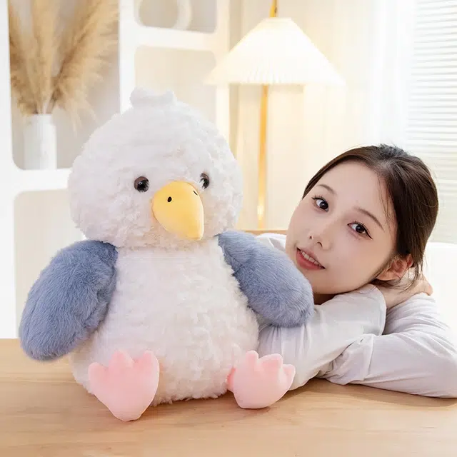 25cm35cm