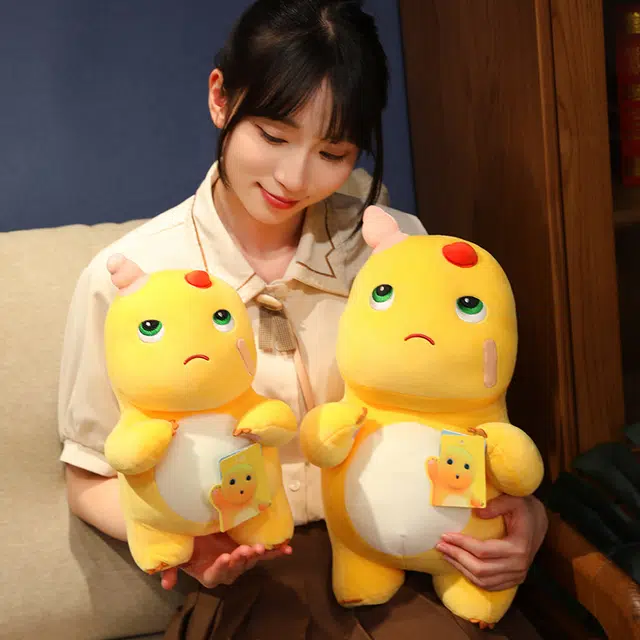 33cm40cm