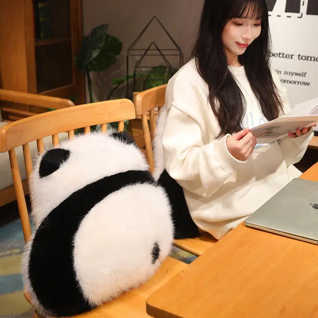 38cm48cm