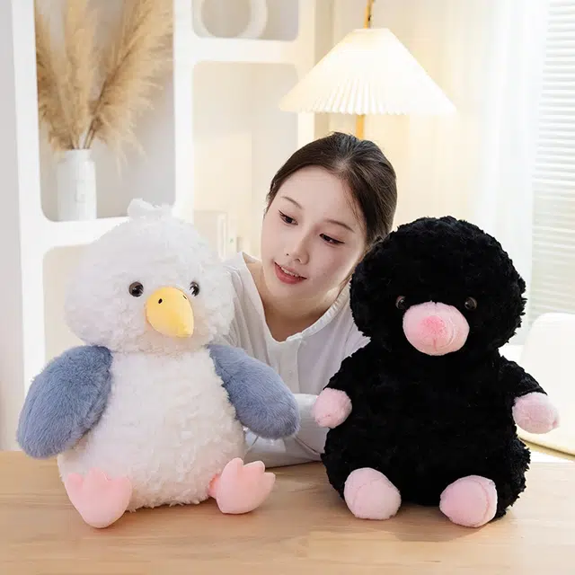 25cm35cm