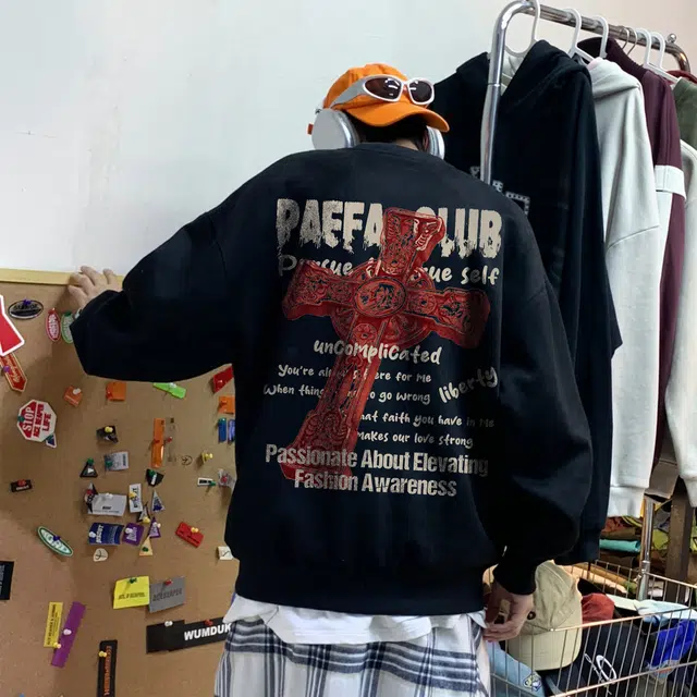 PAEFA LOGO