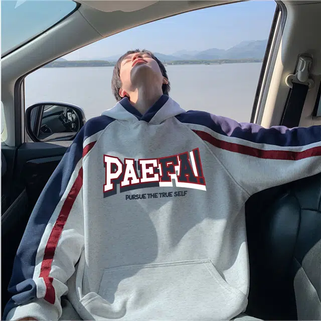 PAEFA Logo