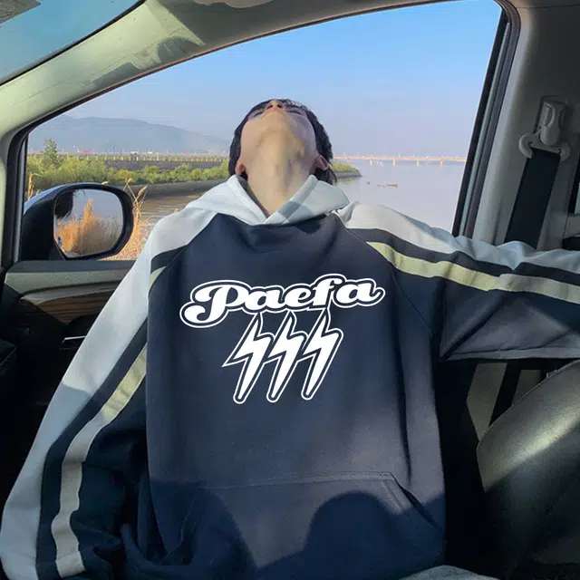 PAEFA LOGO