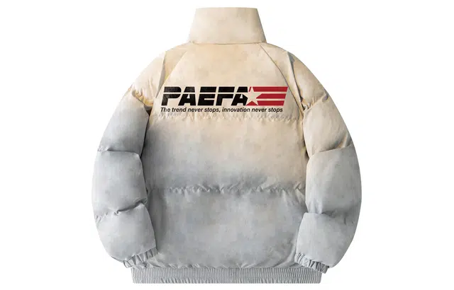 PAEFA logo