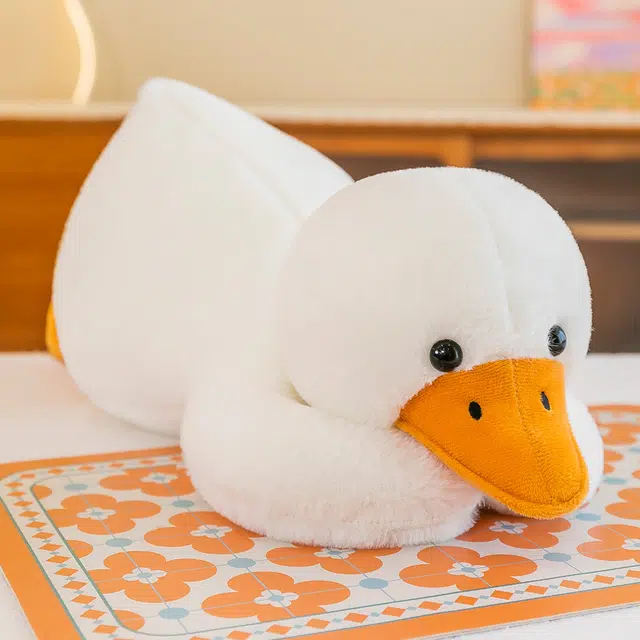 50cm70cm