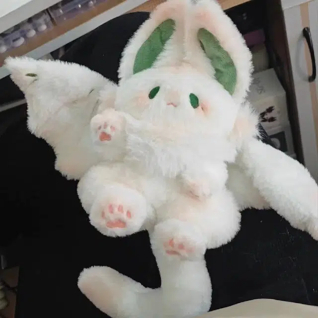 25cm