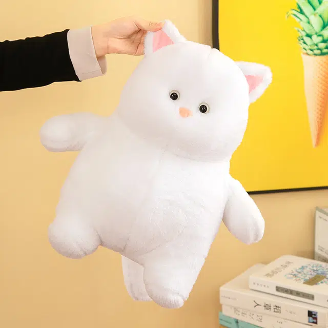 35cm55cm