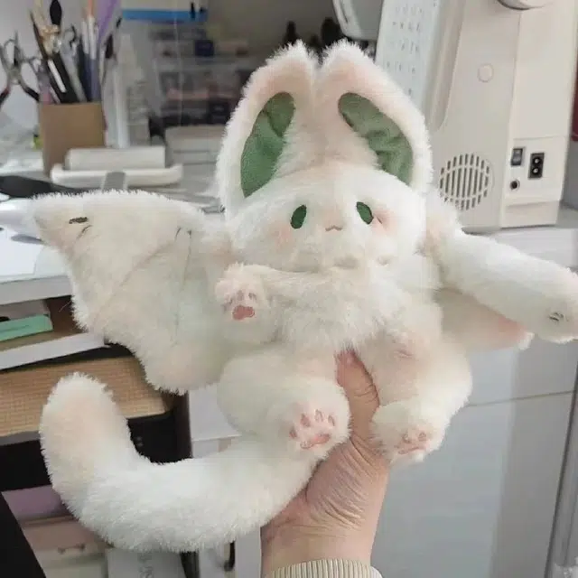25cm