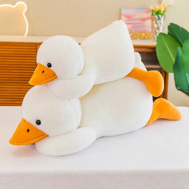 50cm70cm