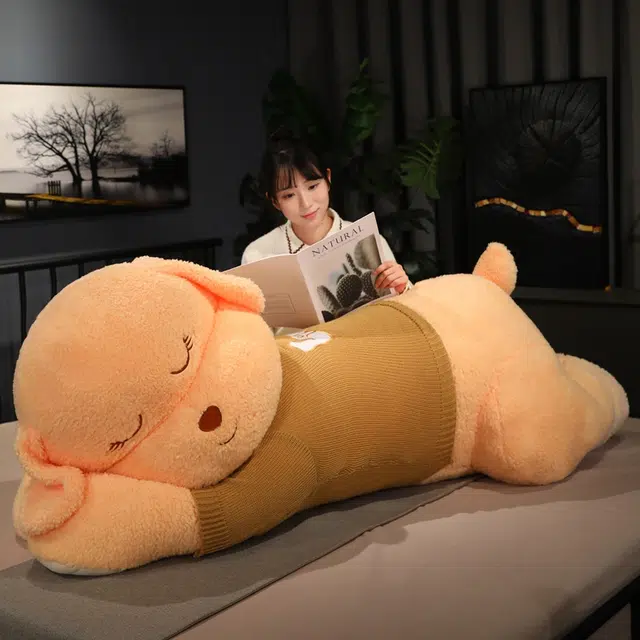 80cm100cm130cm160cm