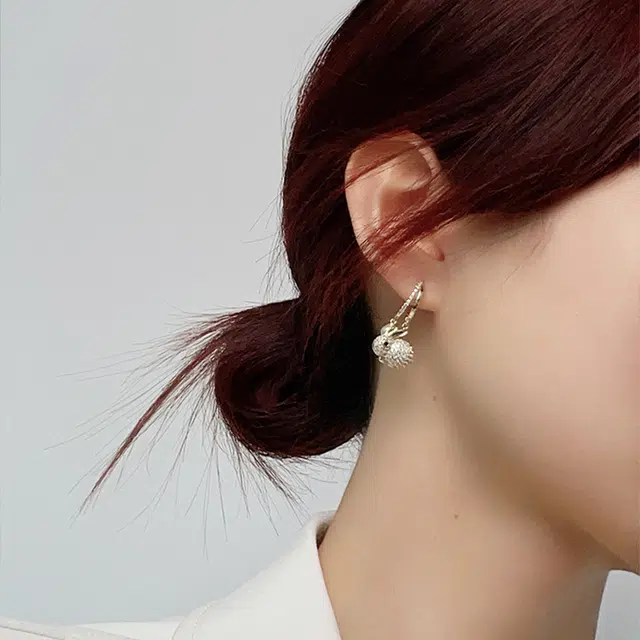 ZWU ins