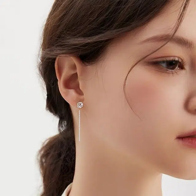 ZWU ins