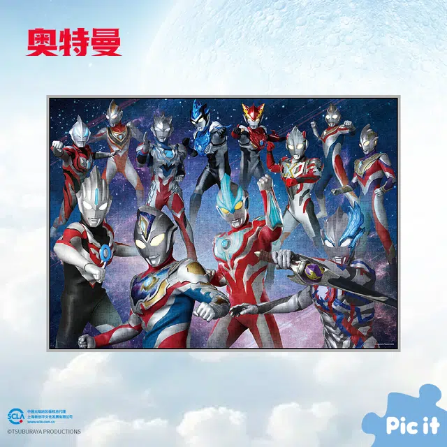 pic it 1000pcs