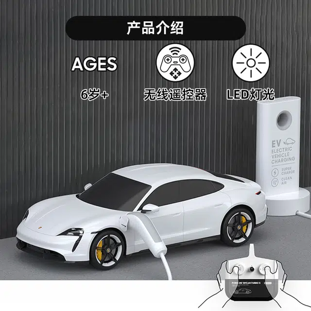 SHARPER IMAGE TAYCAN TURBO S 120