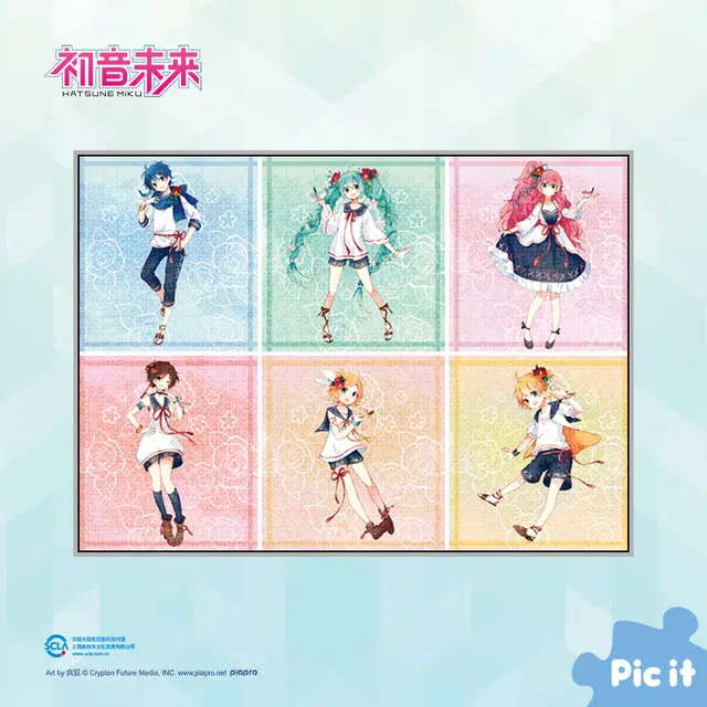 pic it 1000 pcs