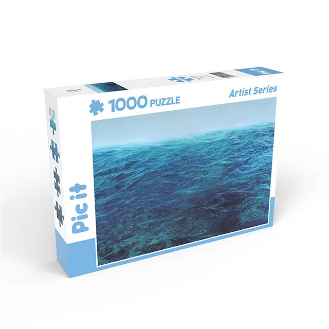 pic it 1000 pcs