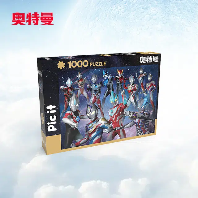 pic it 1000pcs