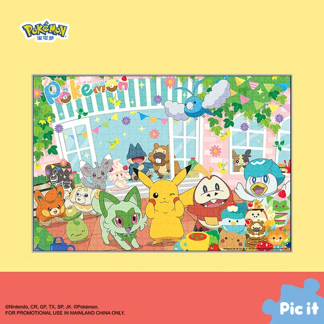 pic it 200 pcs