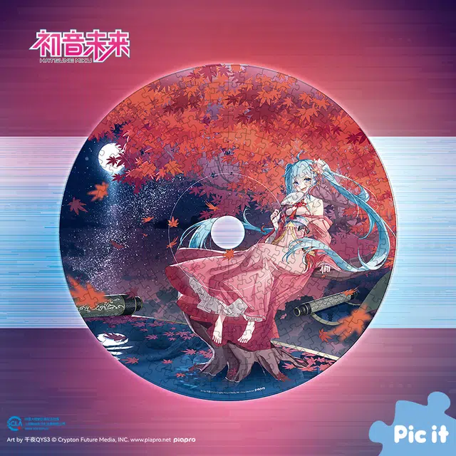 pic it 312pcs PITCKS01303