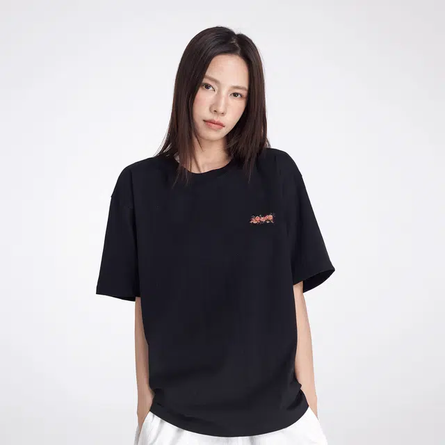FENGXUELANG T