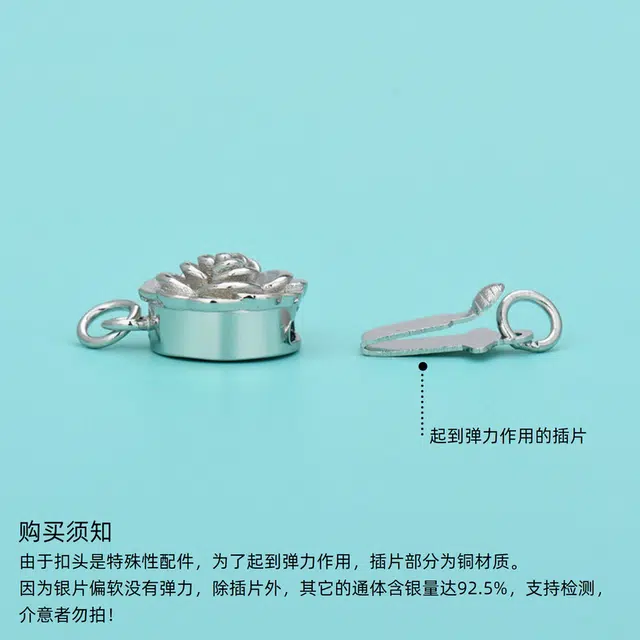 COISE diy S925