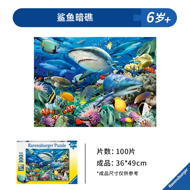 Ravensburger 100pcs 109517