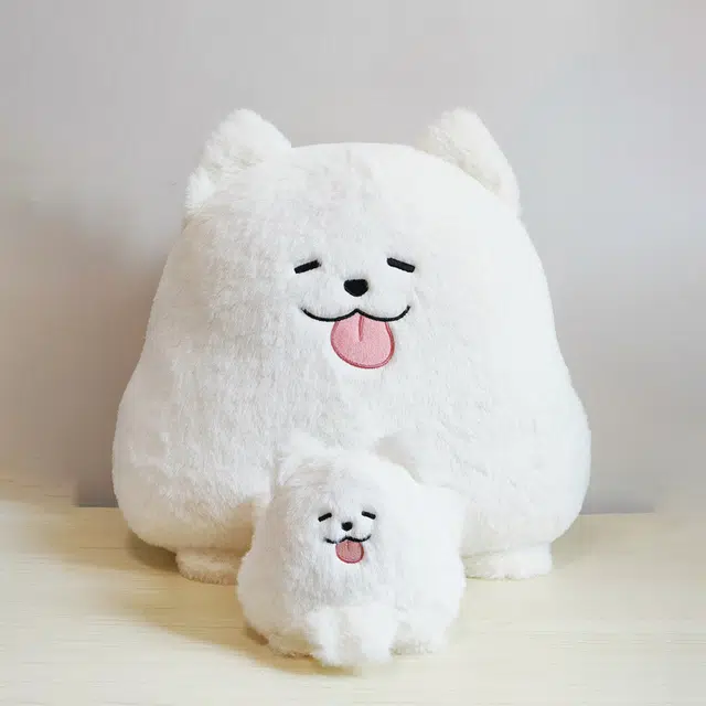 13cm38cm