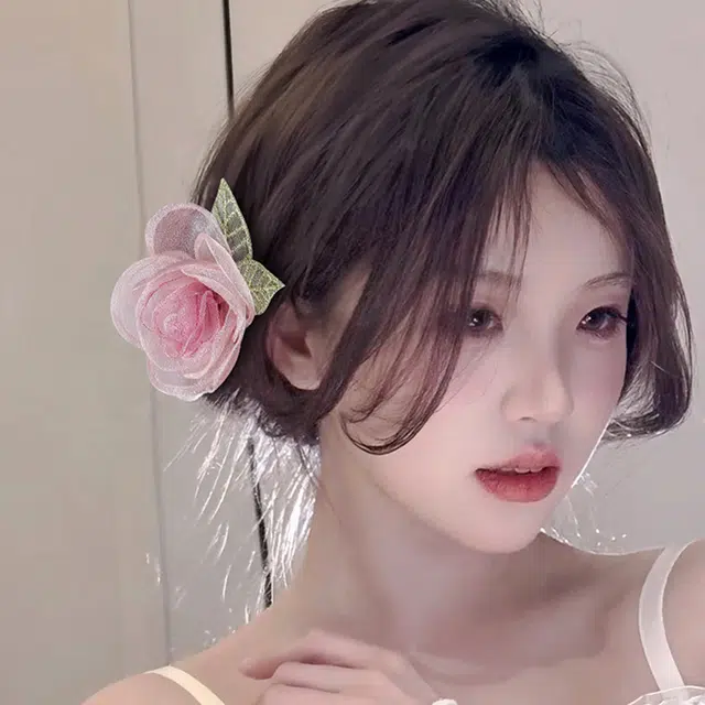 HANYUDIE