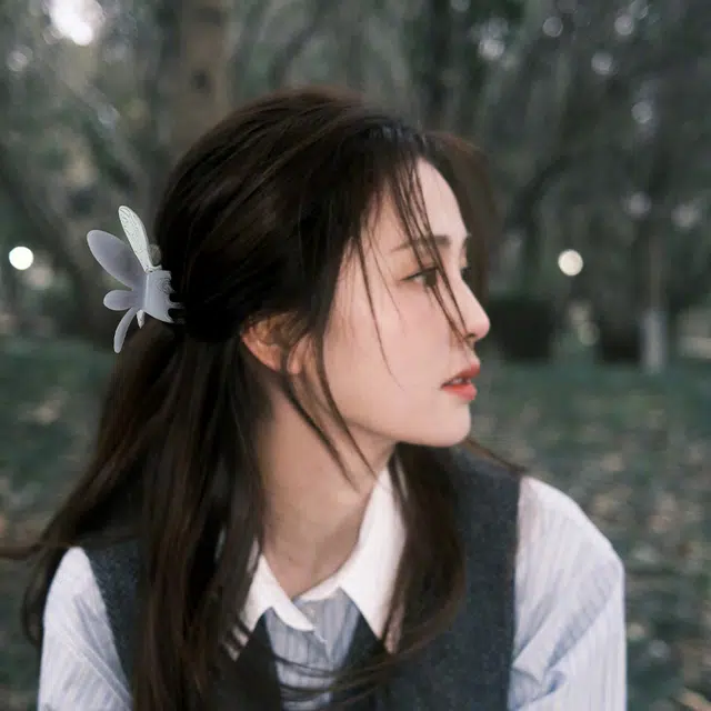 HANYUDIE