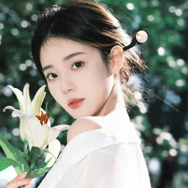 HANYUDIE