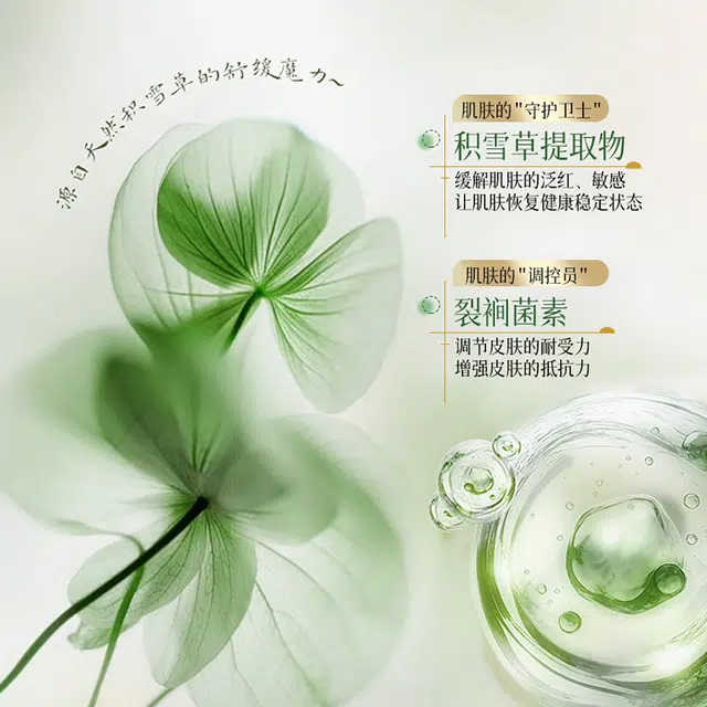 E'YEARN 500ml