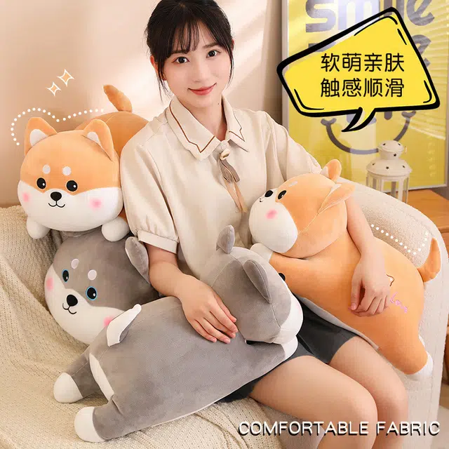 50cm60cm