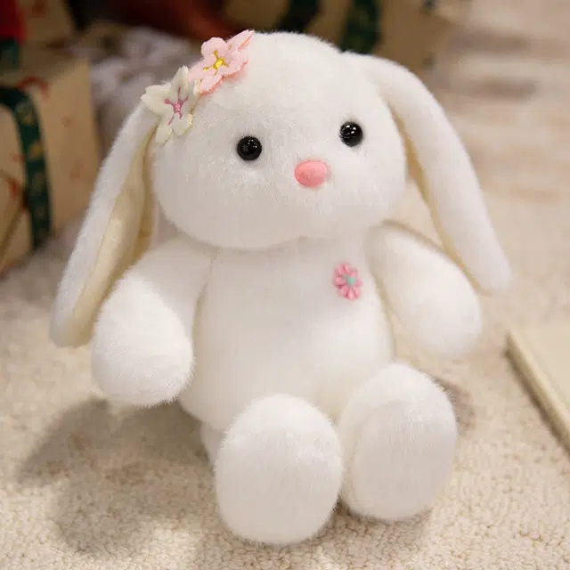 25cm
