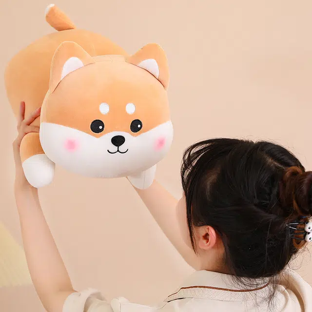50cm60cm
